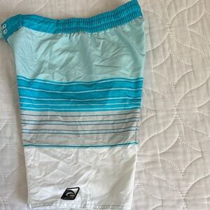 Laguna Aqua Stripe Swim Trunks - Blue & White